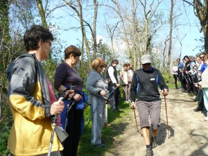 Nordic Walking bemutató